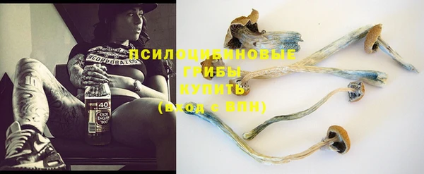 apvp Костерёво