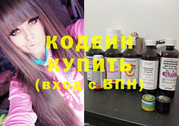 мдпв Кодинск