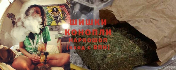 apvp Костерёво