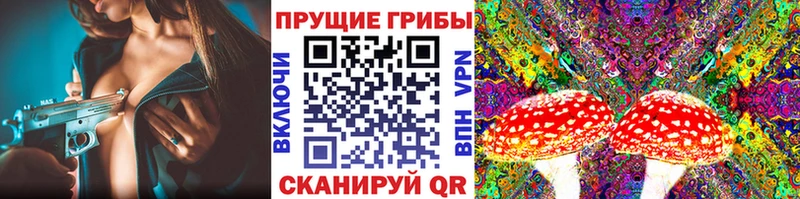 Псилоцибиновые грибы Cubensis  купить наркотик  Киржач 