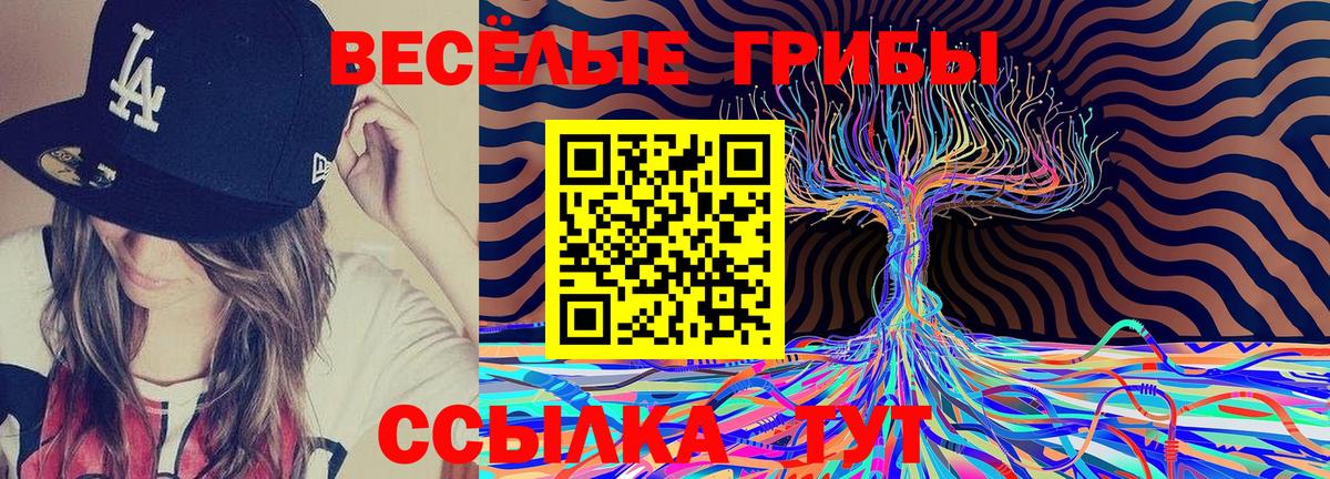 Галлюциногенные грибы Psilocybine cubensis Киржач