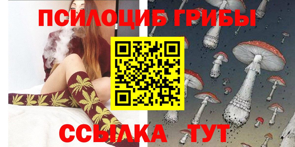 Киржач  Галлюциногенные грибы Psilocybine cubensis  Вход с VPN 